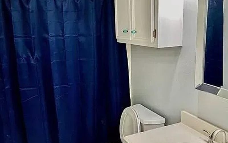 Bathroom with navy shower curtain