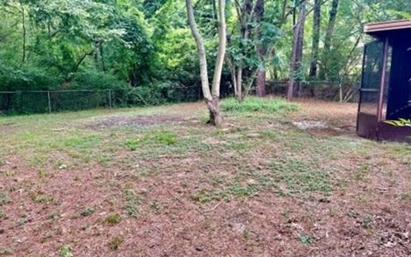 Backyard with trees and screened porch
