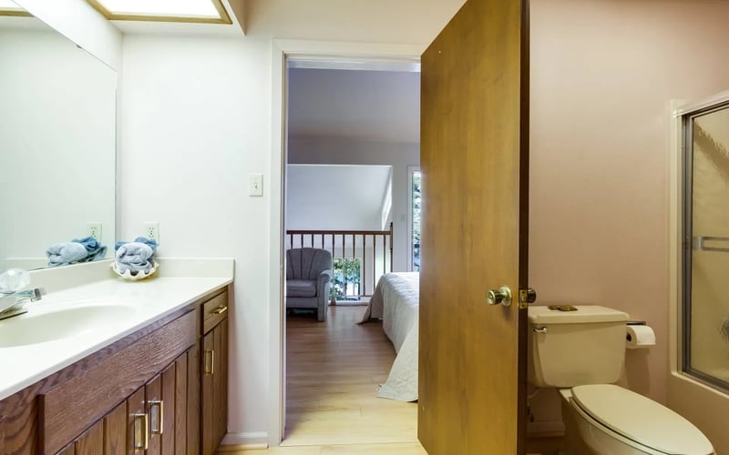 Ensuite bathroom with vanity and shower