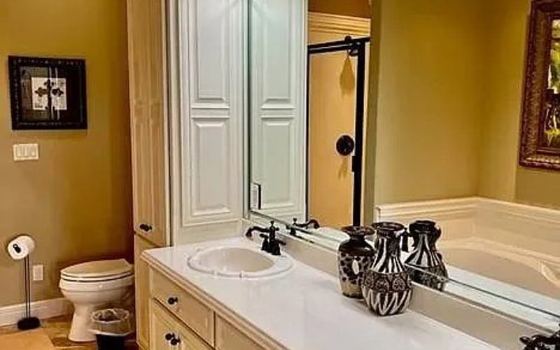 Master bathroom double vanity with soaking tub