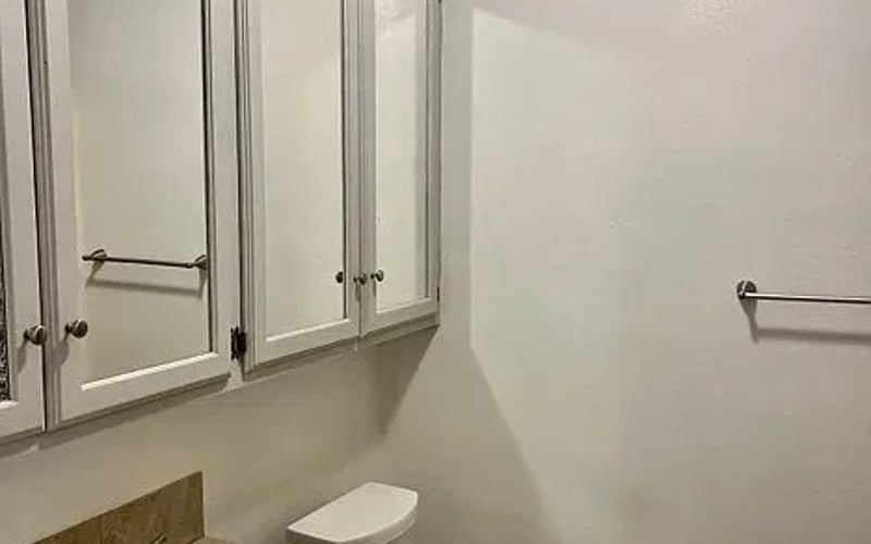 Bathroom with vanity and mirror cabinet